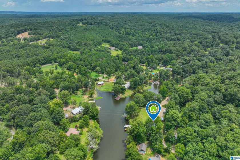 Outstanding Waterfront Cabin Retreat on Glaze Creek! Experience - photo 48