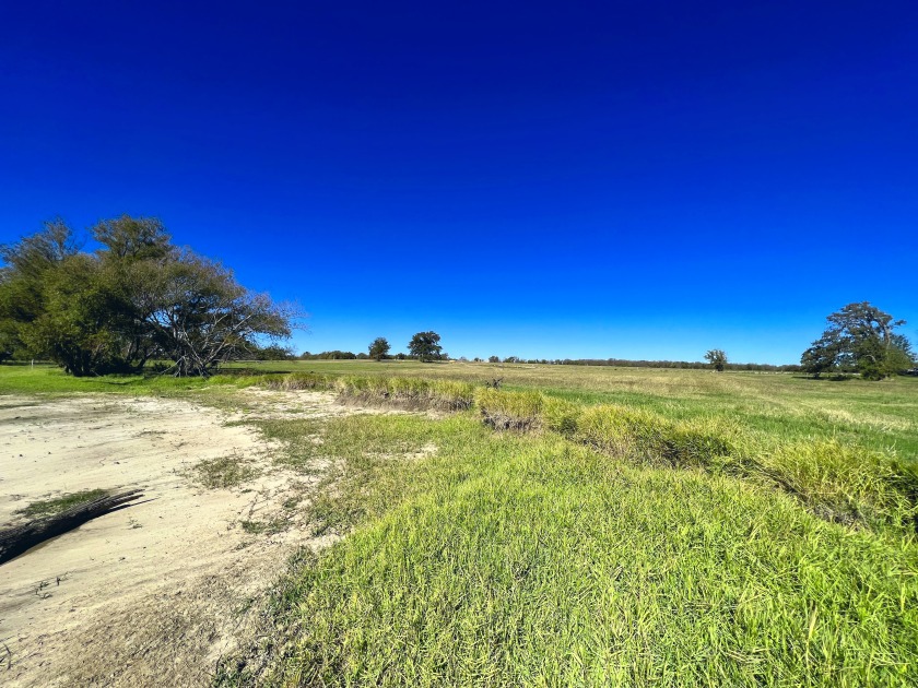 1+ Acre Waterfront Lot on Richland Chambers Lake! - photo 21