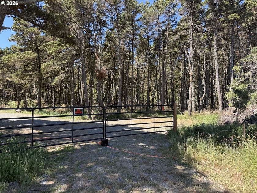 WEST BANDON LOT, .34 acre, in the developing Donut Hole area - photo 3