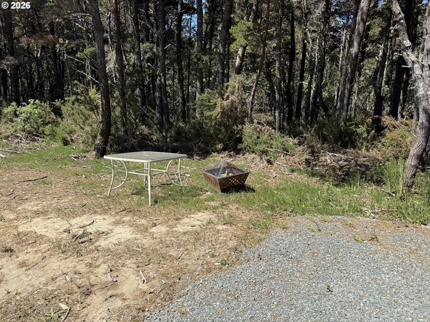 WEST BANDON LOT, .34 acre, in the developing Donut Hole area - photo 6