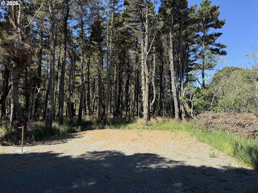 WEST BANDON LOT, .34 acre, in the developing Donut Hole area - photo 9