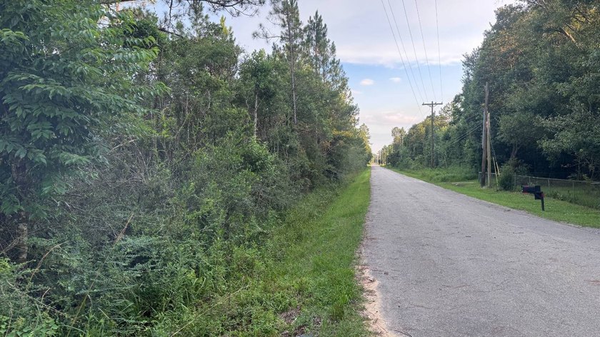 This property is a portion of a larger, heavily wooded property - photo 3