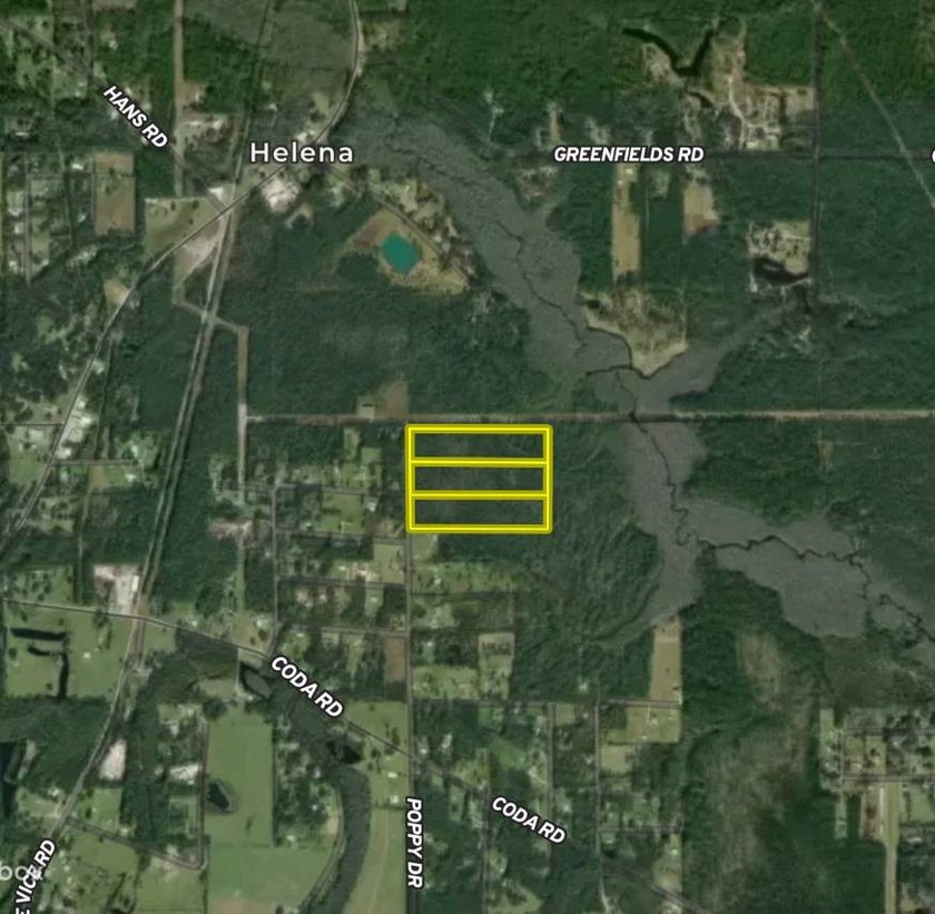 This property is a portion of a larger, heavily wooded property - photo 4