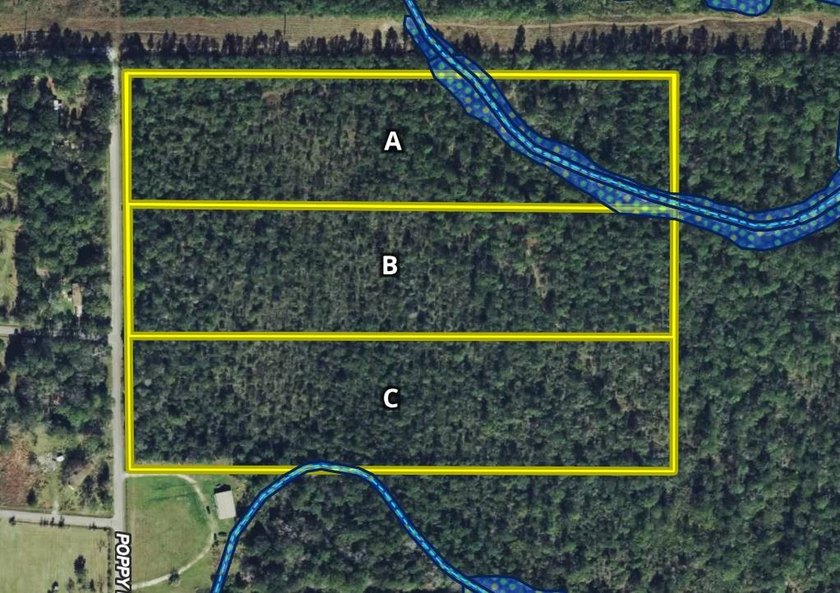 This property is a portion of a larger, heavily wooded property - photo 5