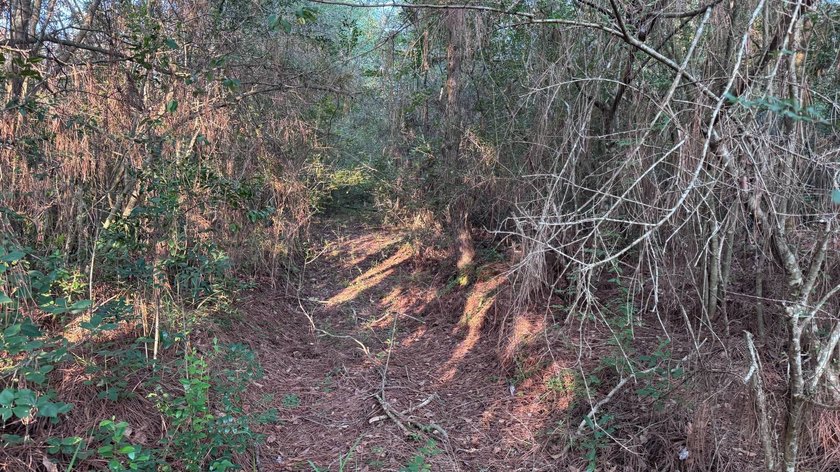 This property is a portion of a larger, heavily wooded property - photo 8