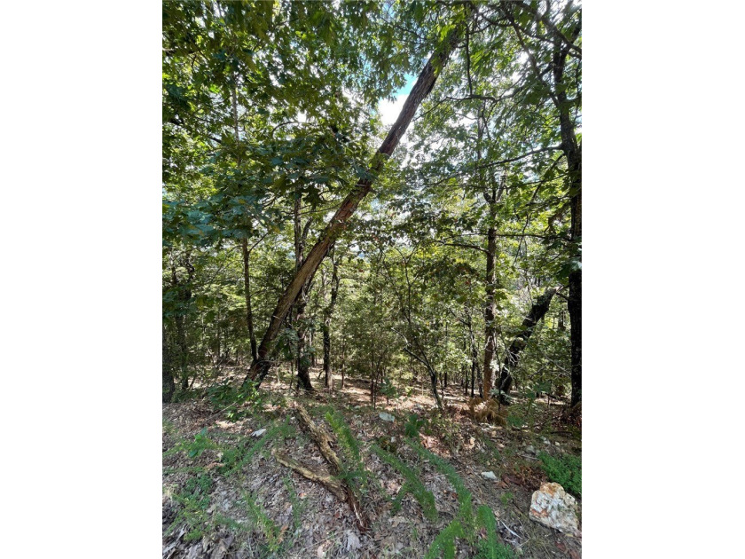 Located within the Wolf-Ridge Estate, this is a beautiful - photo 13