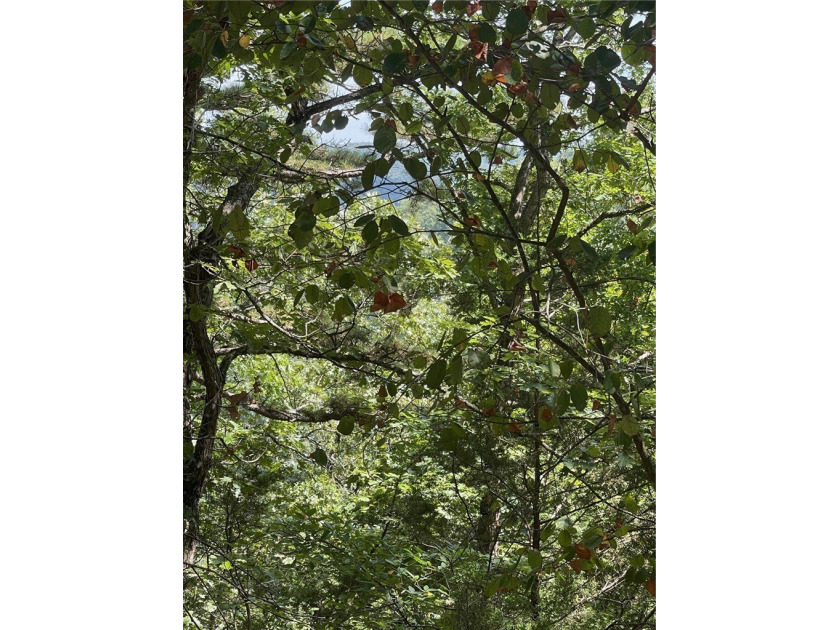 Located within the Wolf-Ridge Estate, this is a beautiful - photo 14