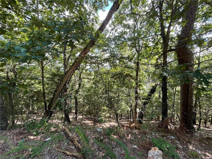Located within the Wolf-Ridge Estate, this is a beautiful - photo 15