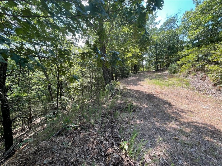 Located within the Wolf-Ridge Estate, this is a beautiful - photo 17