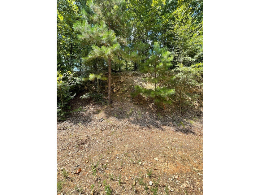Located within the Wolf-Ridge Estate, this is a beautiful - photo 18