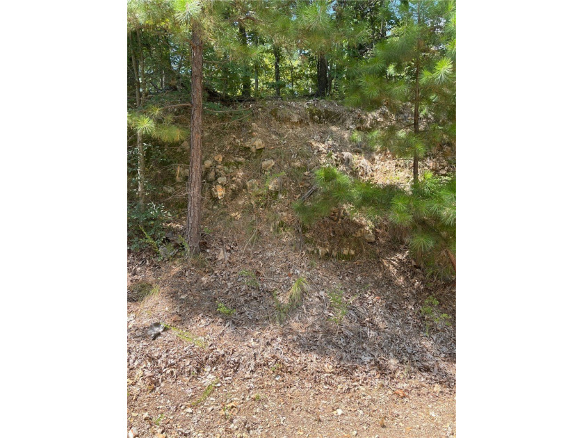 Located within the Wolf-Ridge Estate, this is a beautiful - photo 19