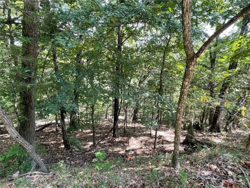 Located within the Wolf-Ridge Estate, this is a beautiful - photo 21