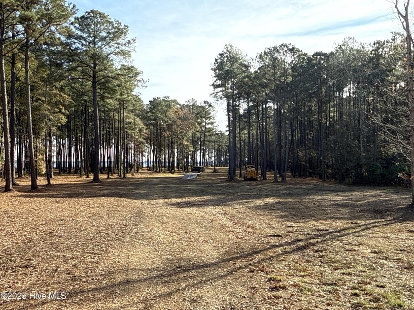 Extraordinary 112-acre waterfront property on the Pungo River - photo 8