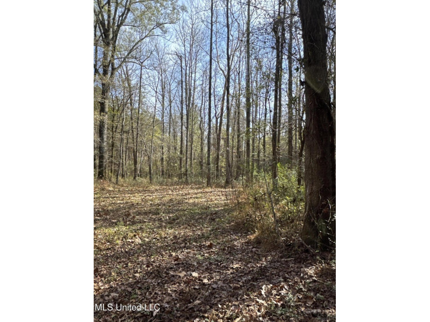 This offering includes four separate 38+/- acre tracts in - photo 16