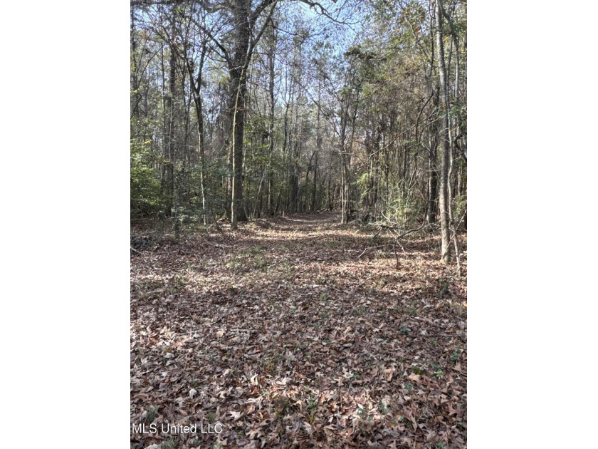 This offering includes four separate 38+/- acre tracts in - photo 17