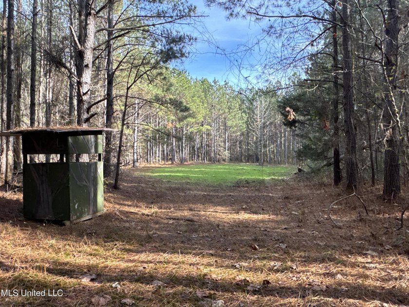 This offering includes four separate 38+/- acre tracts in - photo 29