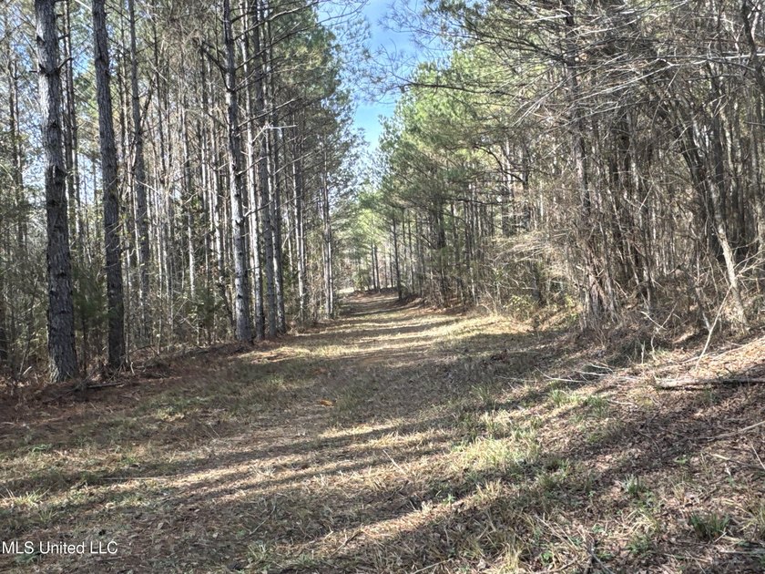 This offering includes four separate 38+/- acre tracts in - photo 30