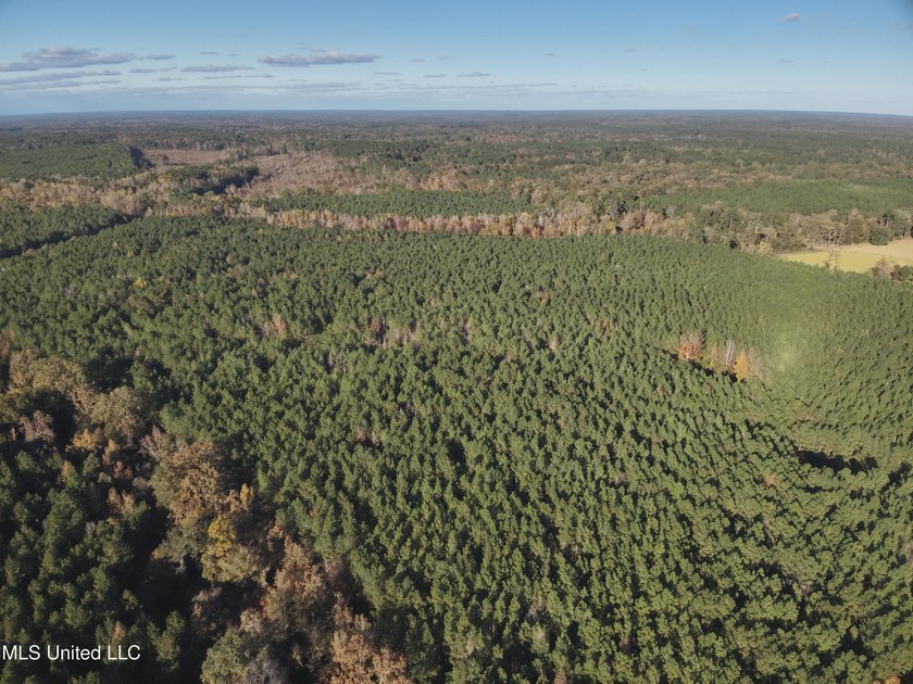 This offering includes four separate 38+/- acre tracts in - photo 41