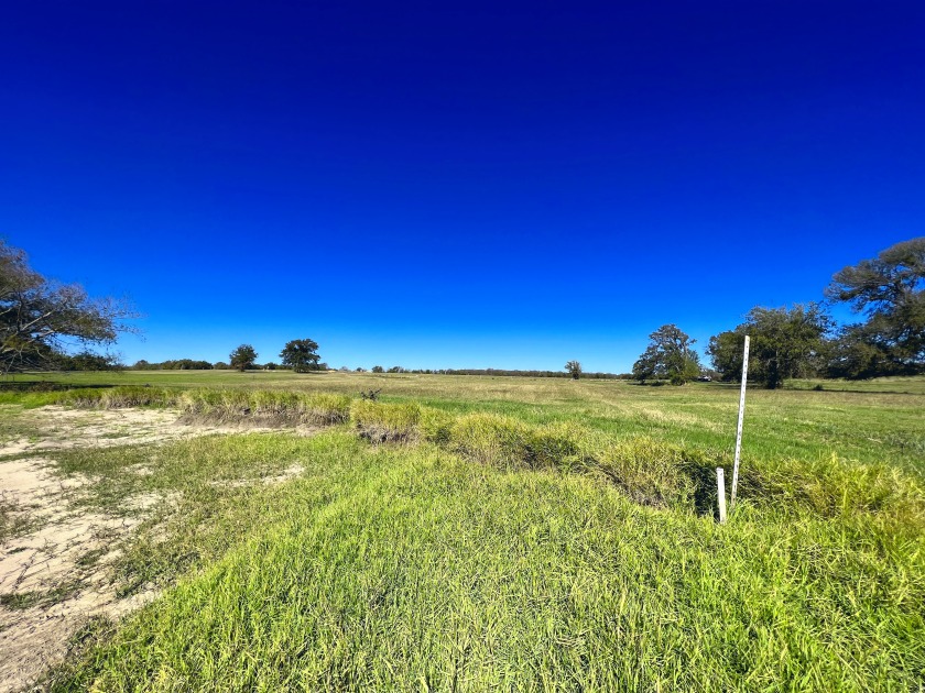 1+ Acre Waterfront Lot on Richland Chambers Lake! - photo 5