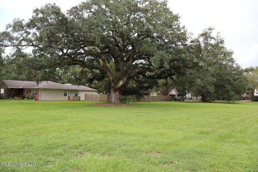 Prime Gulf Coast dirt-positioned in one of South Pascagoula's - photo 8