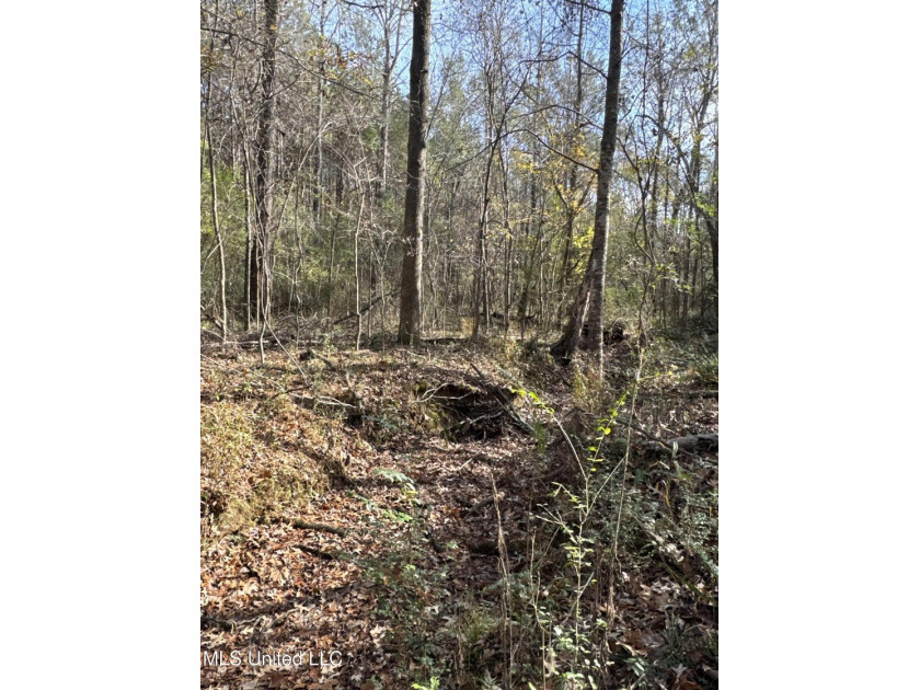 This offering includes four separate 38+/- acre tracts in - photo 12