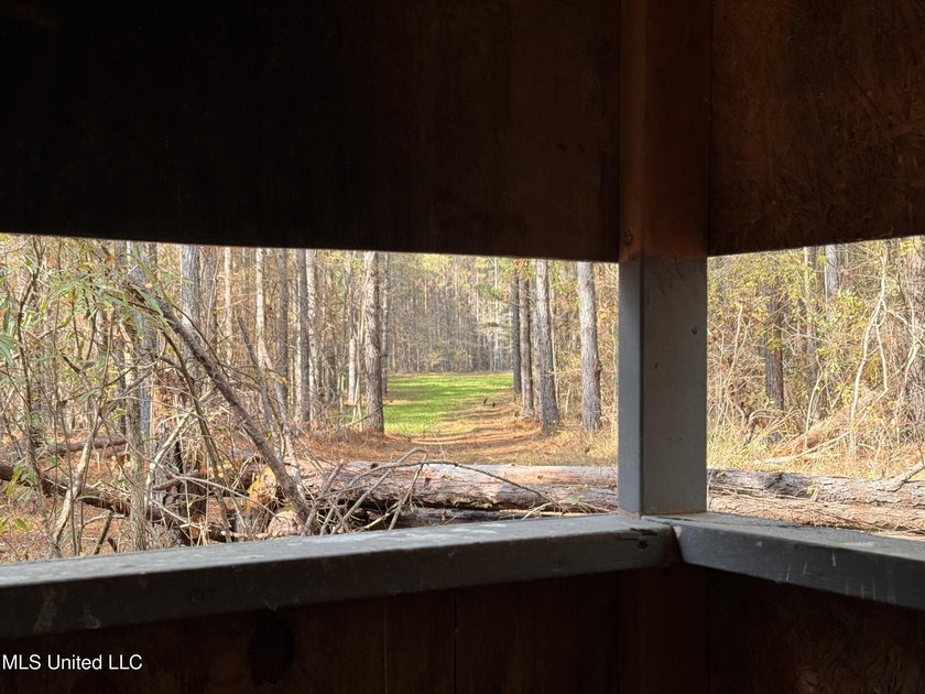 This offering includes four separate 38+/- acre tracts in - photo 24