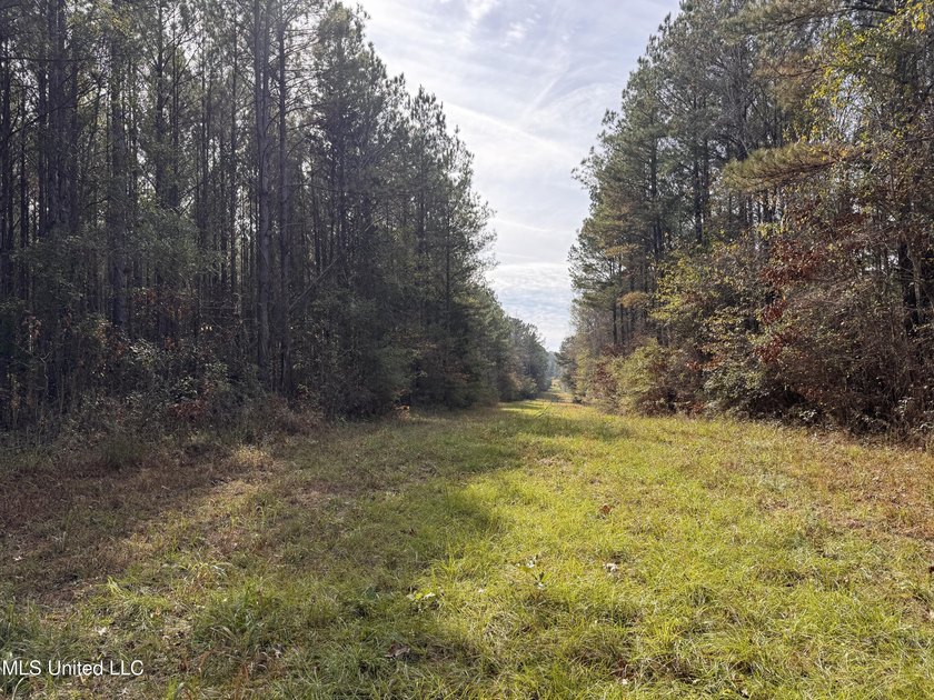 This offering includes four separate 38+/- acre tracts in - photo 33