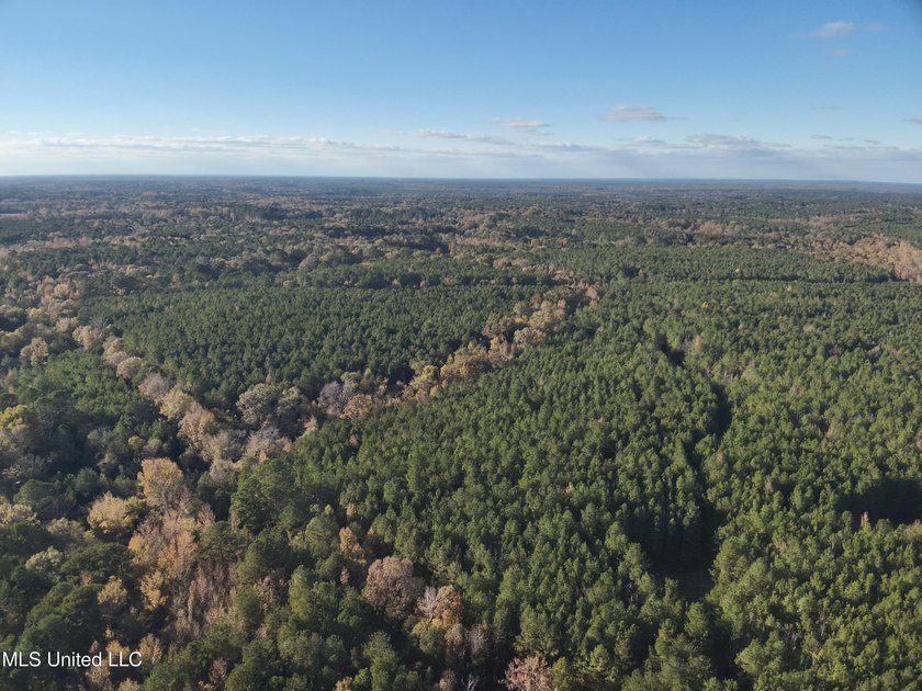 This offering includes four separate 38+/- acre tracts in - photo 42