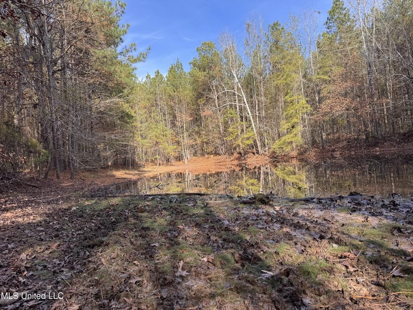 This offering includes four separate 38+/- acre tracts in - photo 27