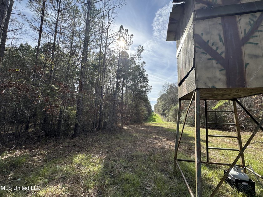 This offering includes four separate 38+/- acre tracts in - photo 31