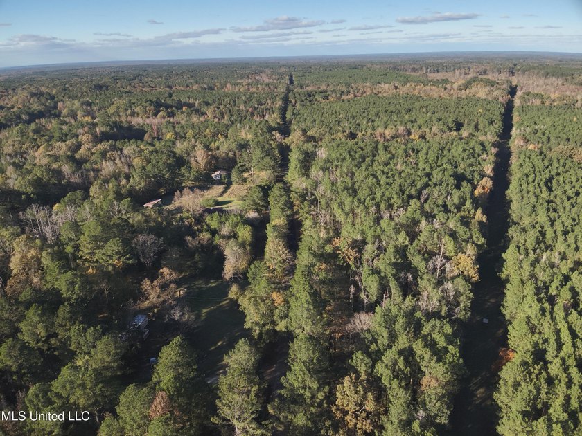 This offering includes four separate 38+/- acre tracts in - photo 37