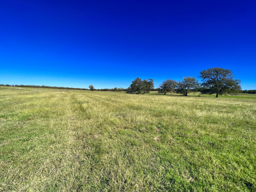 1+ Acre Waterfront Lot on Richland Chambers Lake! - photo 15