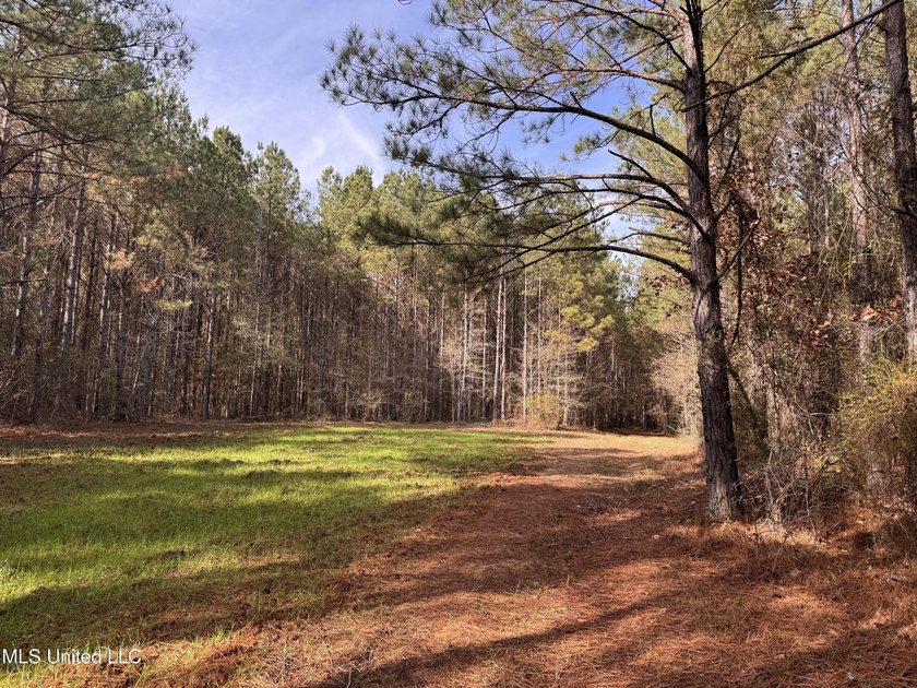 This offering includes four separate 38+/- acre tracts in - photo 26