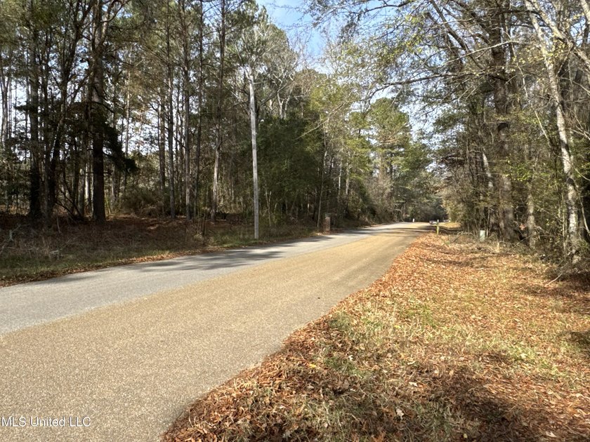 This offering includes four separate 38+/- acre tracts in - photo 46