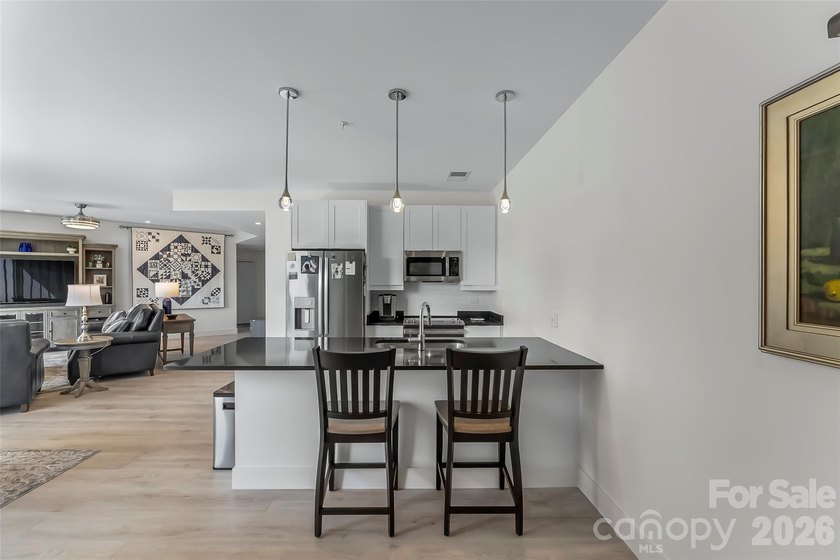 Extraordinary opportunity to own this move-in ready condo - photo 4