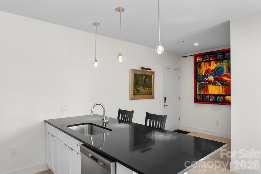 Extraordinary opportunity to own this move-in ready condo - photo 7
