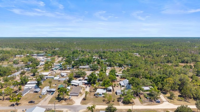 Located right in the heart of Steinhatchee, this property offers - photo 33