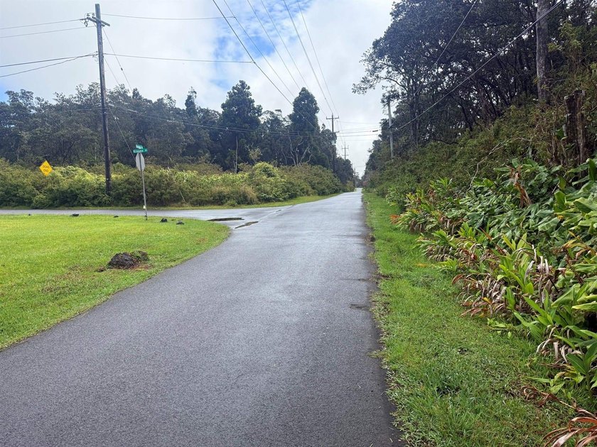 This breathtaking half-acre corner lot is untouched and ready - photo 3
