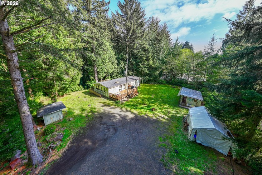 Surrounded with lush trees and shrubs in a beautiful deep - photo 15