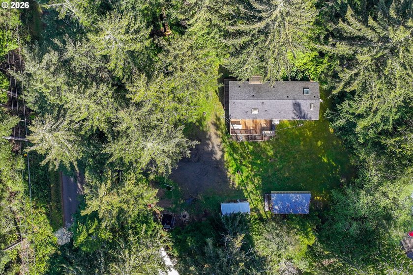 Surrounded with lush trees and shrubs in a beautiful deep - photo 22