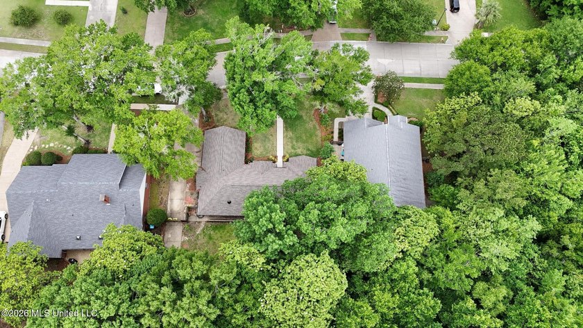 Tucked beneath mature trees in the highly sought-after Magnolia - photo 31