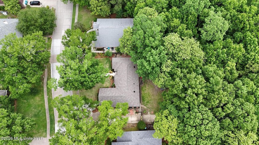 Tucked beneath mature trees in the highly sought-after Magnolia - photo 33