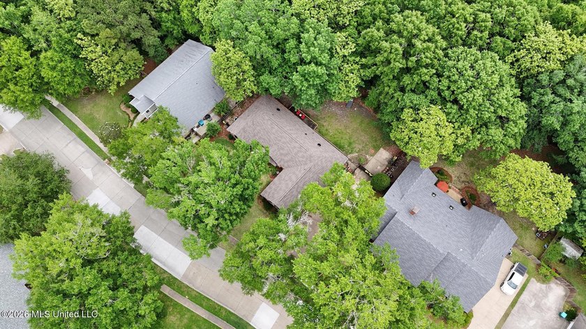 Tucked beneath mature trees in the highly sought-after Magnolia - photo 34