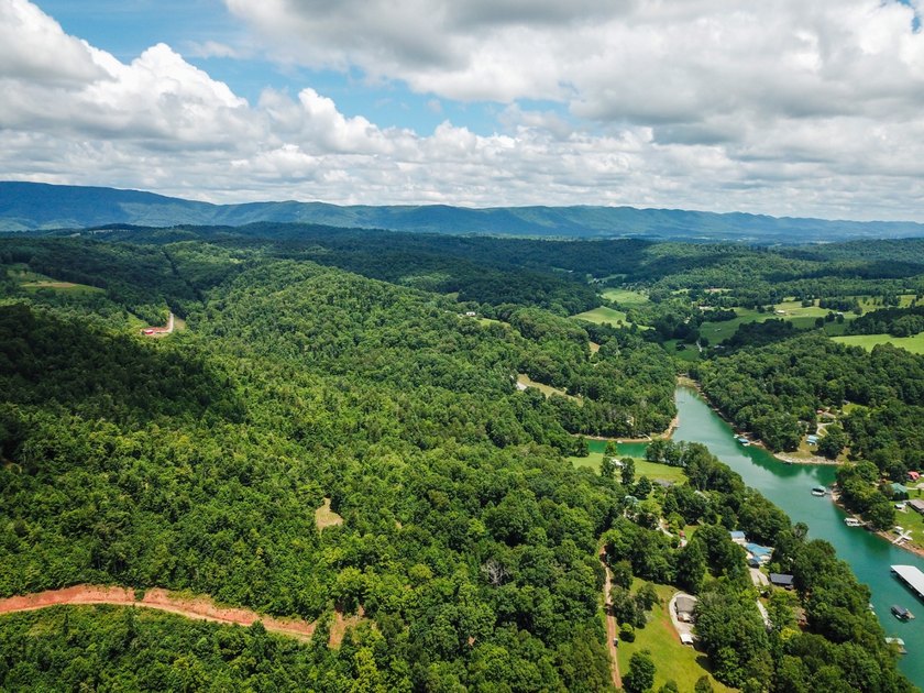 Introducing Lot 5 by Norris Lake in Union County, Tennessee: - photo 2