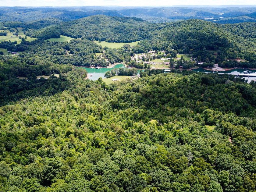 Introducing Lot 6 by Norris Lake in Union County, Tennessee: - photo 7
