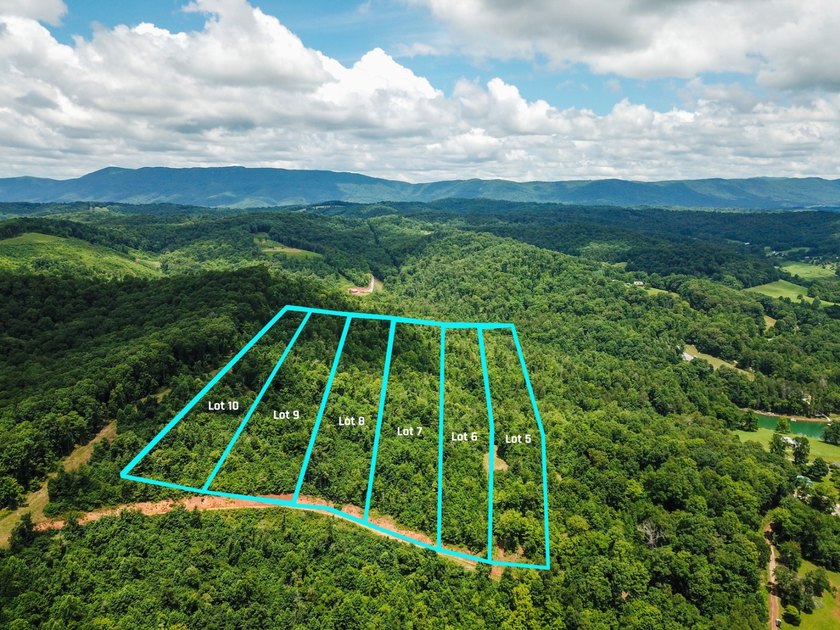 Introducing Lot 6 by Norris Lake in Union County, Tennessee: - photo 9