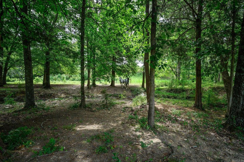 Nestled on just over 17 picturesque acres in Mount Ida, Arkansas - photo 33