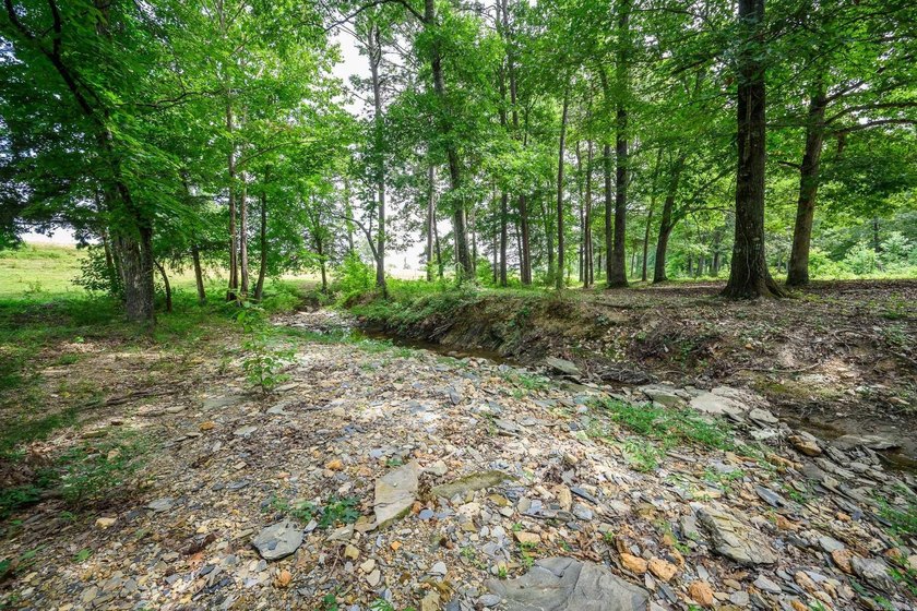 Nestled on just over 17 picturesque acres in Mount Ida, Arkansas - photo 34