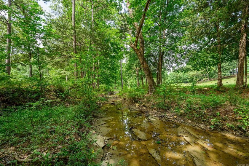 Nestled on just over 17 picturesque acres in Mount Ida, Arkansas - photo 38
