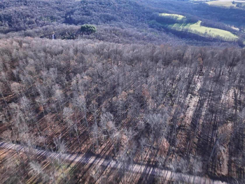 Build ready wooded lots near Yough Lake featuring recent septic - photo 6